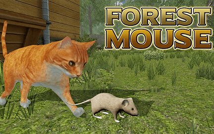 forest-mouse