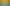 Goo Goo Gaga Clicker game image