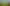 Plants Vs Zombies game image