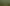 game bg