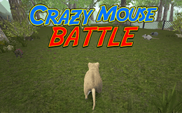 Crazy Mouse Battle