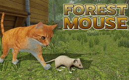 Forest Mouse
