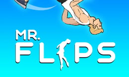 Mr Flip