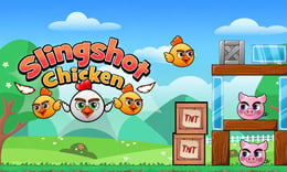 Slingshot Chicken