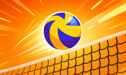 Volleyball Legends