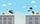 Rooftop Snipers