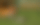 forest-mouse